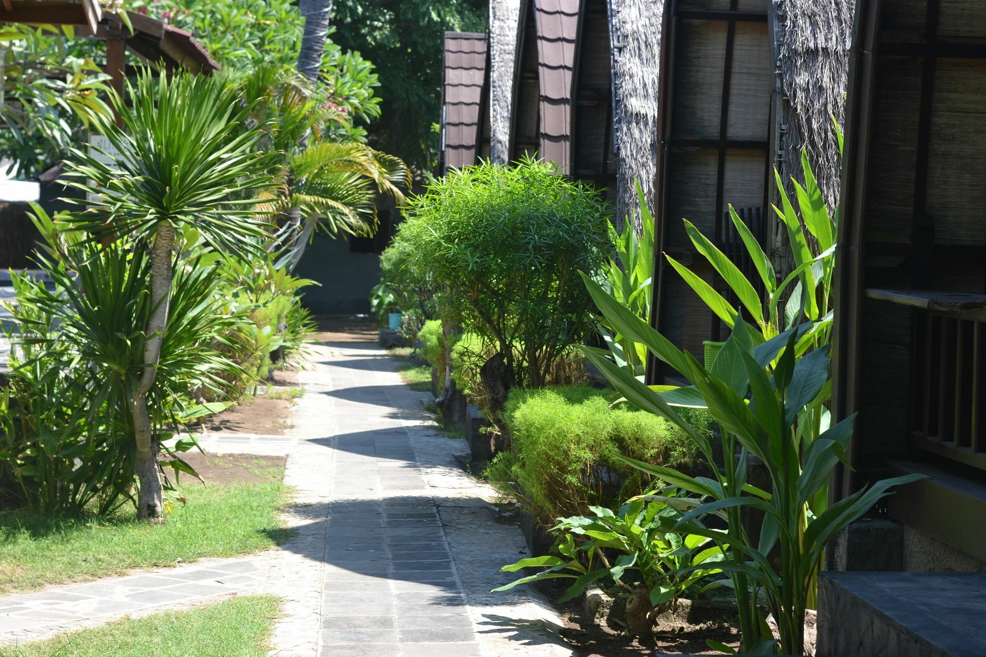 Amora Villa Gili Trawangan Buitenkant foto